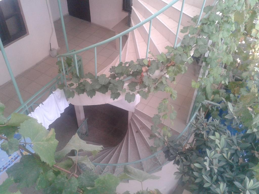 Hotel Maxim Mini Batumi Pokoj fotografie